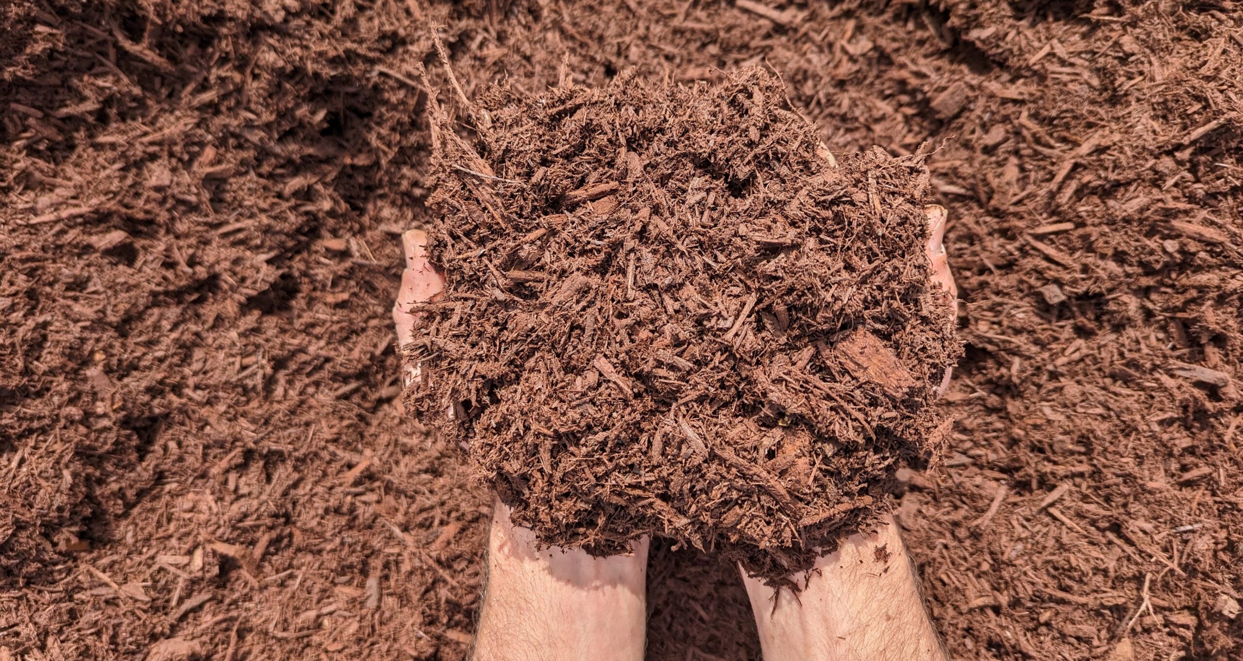 Cherry Brown Mulch example
