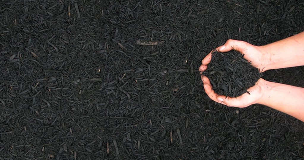 Colonial Black Mulch example